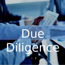  Due Diligence -     " " -  